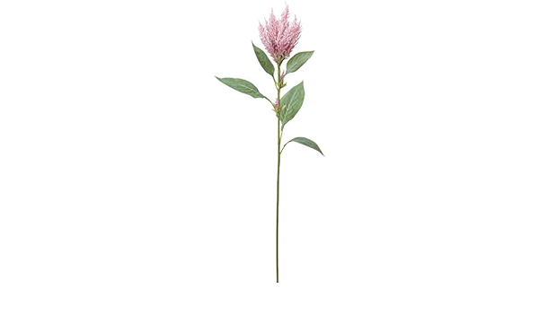Amazon Asca 造花 アマランサス ピンク 全長71cm A 003 造花 オンライン通販