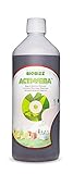BioBizz オーガニック活力剤 Acti Vera 250ml