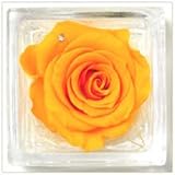 花花 プリザーブドフラワー 手のひらサイズ ガラスキューブ （ バラ 一輪 ） 枯れない お花 お祝い プチギフト プレゼント 【 メッセージカード / ラッピング 無料 】( オレンジ )