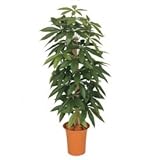 【人工植栽】　タカショー グリーンデコ鉢付 パキラ　1.2m　GD-166