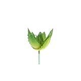 Bulary 造花　ミニ多肉植物　人工観葉植物　インテリア プレゼント 室内 タイプ5C