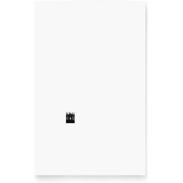 鳥を見る | 野口 里佳 |本 | 通販 | Amazon