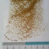 コルク粒 (小) 約50g入 コルクパウダー