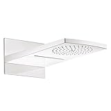 Hansgrohe 28433 Raindanceマルチ機能2.5 GPMシャワーヘッド、 ホワイト 28433401 1