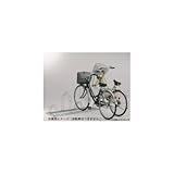 ダイケン 自転車ラック平置き前輪差込 サイクルスタンドCS-M6