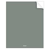 Kilz Tribute内部Eggshellペイント、1、1ガロン、クールでプライマーフォグ( tb-61 ) 8x10-Inch Peel & Stick Color Swatch PNS-TB-6