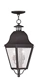 Livex Lighting 2546-07 Amwell 2-Light Outdoor Chain Hang, Bronze by Livex Lighting