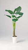 LION 人工植物　AS-KI15 品番57612