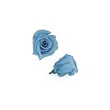 florever　フロールエバー　フレッシュルックベイビーローズ　パウダーブルー　12輪　Φ2.5～3.5cm　 プリザーブドフラワー　Baby Rose　Powder Blue