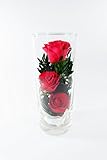 チャト チャック 3 Preserved Roses in small high glass