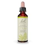 バッチフラワー ホワイトチェストナット アルコールベース 20ml