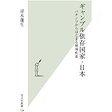 ギャンブル依存国家・日本 パチンコからはじまる精神疾患 (光文社新書)