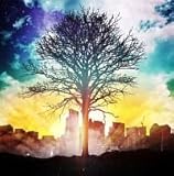 �[�Ă��̐�����