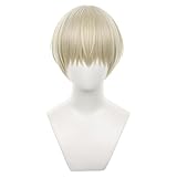 Sizuuenn ウィンドブレイカー WIND BREAKER 梶蓮 ウィッグ 専用ネット コスプレ かつら 耐熱 イベント 学園祭 文化祭 撮影用 変装用