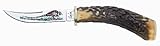 Pheasant Fixed Blade w/ Stag Handle