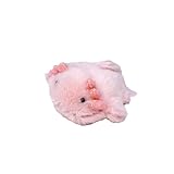 内藤デザイン研究所(Naitou Design) 海中散歩 ぽちゃまるマグネット ウーパールーパー ぬいぐるみ雑貨 全高:約3.5cm 6歳～