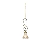 米国キチラー社 室内ペンダント 3576GBR PENDANT