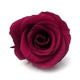 ~Coco Heart~ 　1輪で買える　プリザローズ・ルミエール バーガンディー　花直径約４ｃｍ　(ハンドメイド アレンジ　クリスマス　母の日　プリザブドフラワー・ローズ）