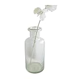 COVENT GARDEN スパニッシュ・ボトルベース HD-31