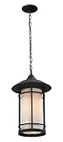 Z-Lite 528CHM-ORB Outdoor Chain Light, Matte Opal Shade by Z-Lite