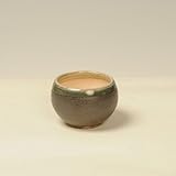 瀬戸焼鉢(黒色緑縁)　8.0ｃｍ