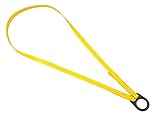 3M DBI-SALA 1201421 Scaffold Choker, 4-Foot W/ Coated Web, PVC Coated D-Ring And Web Loop, Yellow [並