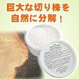 スタンプ・アウト　2個組