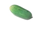 キュウリ野菜グリーンフェイクFood Fruit人工リアルなシミュレーション人工フェイクFruit Vegetableフェイクタトゥー