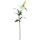 タイガーリリースプレー FXFL0004WHT