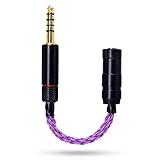 okcsc 変換ケーブル バランス接続ケーブル ジャック 変換 4.4mm 五極（オス）→ 2.5mm 四極（メス）8芯 10cm