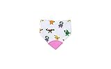 2 in 1 Teething Bib - Pink Fruit [並行輸入品]