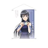 桜島麻衣 タペストリー B2