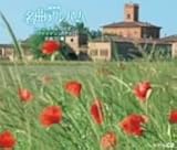 NHK���ȃA���o�� �c�B�S�C�l�����C�[���`���@�C�I�����E�`�F������30�I