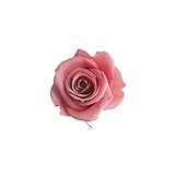 florever　フロールエバー　フレッシュルックスプレーローズ　ピンクオパール　8輪　Φ3.5～4.5cm　 プリザーブドフラワー　Spray Rose　Pink Opal