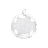 SunniMix 2個入り　ガラス　ボトル　 穴付き　花瓶　燭台　水耕栽培　テラリウム　コンテナ　装飾　8cm　　