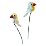 Euvo Design OrnaMent Pick カラフルバード2本SET DZG0023