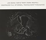 Compound Full of Bones Translucent Thousands