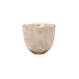 Torre & Tagus 901349 Sira Metallic Lustre Glass Bowl/Vase, Short, Silver [並行輸入品]