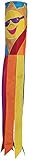 In the Breeze Sunny Rainbow Windsock, 40-Inch