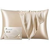 Warmstar シルク 枕カバー 6A クラス シルク100% 22匁 片面シルク ピローケース 43x63cm 洗える 封筒式 抗菌防臭