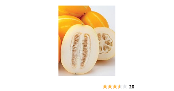 Amazon 韓国直輸入 チャメ マクワウリ ８個 韓国フルーツ セニー 野菜 通販