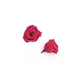 florever　フロールエバー　フレッシュルックベイビーローズ　ホットピンク　12輪　Φ2.5～3.5cm　 プリザーブドフラワー　Baby Rose　Hot Pink