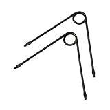 自然作 立バネ (2ケ入) 大