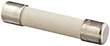 Mersen GSA Ceramic Time-Delay Electronic Fuse 250V 200A/10kA 6 Ampere 1/4 Diameter x 1-1/4 Length [並
