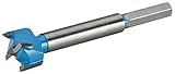 Roman Carbide DC1893 Carbide Forstner Bit, 20mm [並行輸入品]