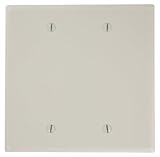 Leviton 2-gang noデバイス空白Wallplate 80525-T 1