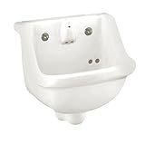 American Standard 0421.018.020 Prison Vitreous China Lavatory Sink, White [並行輸入品]