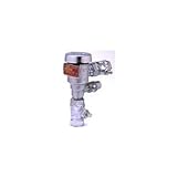 T&S Brass B-0963 Vacuum Breaker 1/2-Inch NPT Inlet and Outlet Continuous Pressure Quarter Turn Ball 
