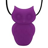 Jellystone Designs Owl Pendant Teether Necklace - Purple Grape by Jellystone Designs