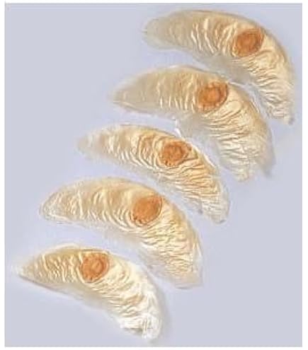 Amazon.co.jp: アルソミトラの種(フライングシード)2枚 : DIY・工具